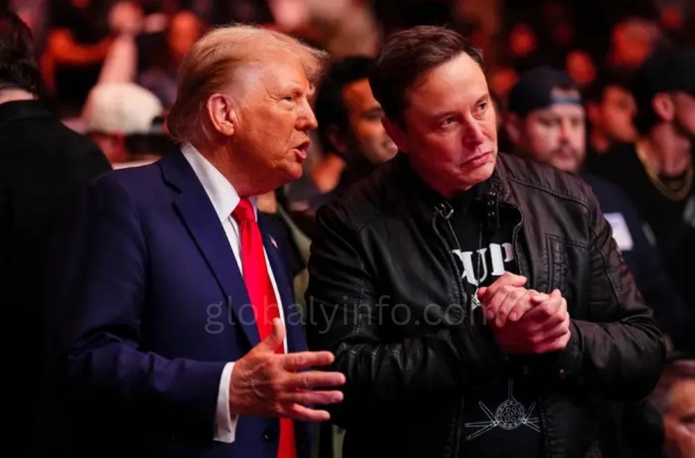 Tesla Shares Drop Amid Controversy Over Musk-Trump Budget Discussions